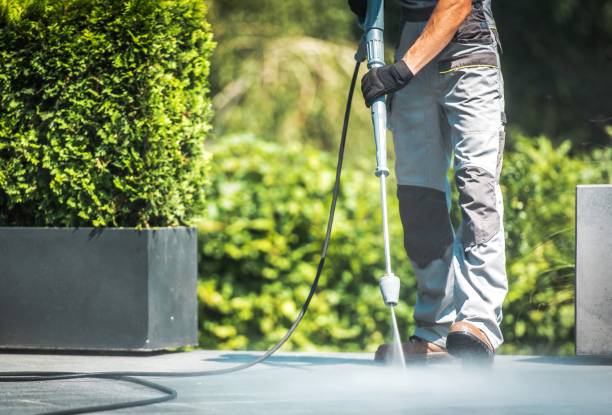 Best Solar Panel Cleaning  in Timnath, CO
